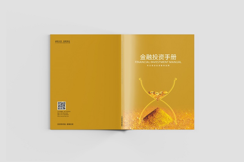 金融集團畫冊設(shè)計-金融投資公司宣傳冊設(shè)計圖片a1